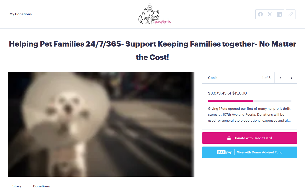 Giving4Pets Thrift Store website preview