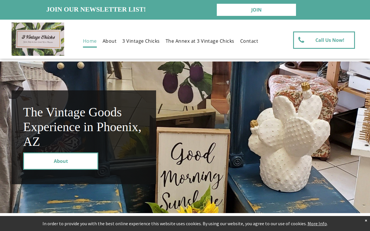 3 Vintage Chicks website preview