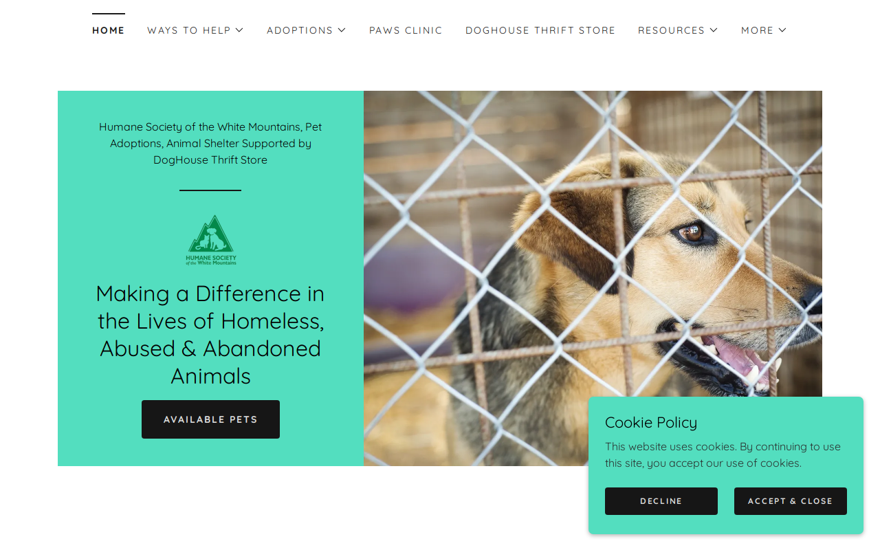 The DOGhouse Thrift Shop website preview