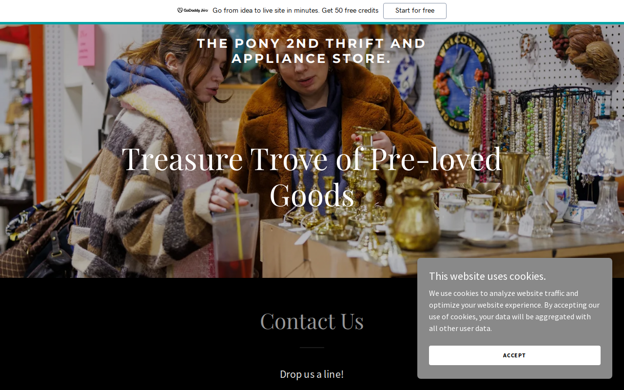 The Pony Second Hand and Appliance Store website preview