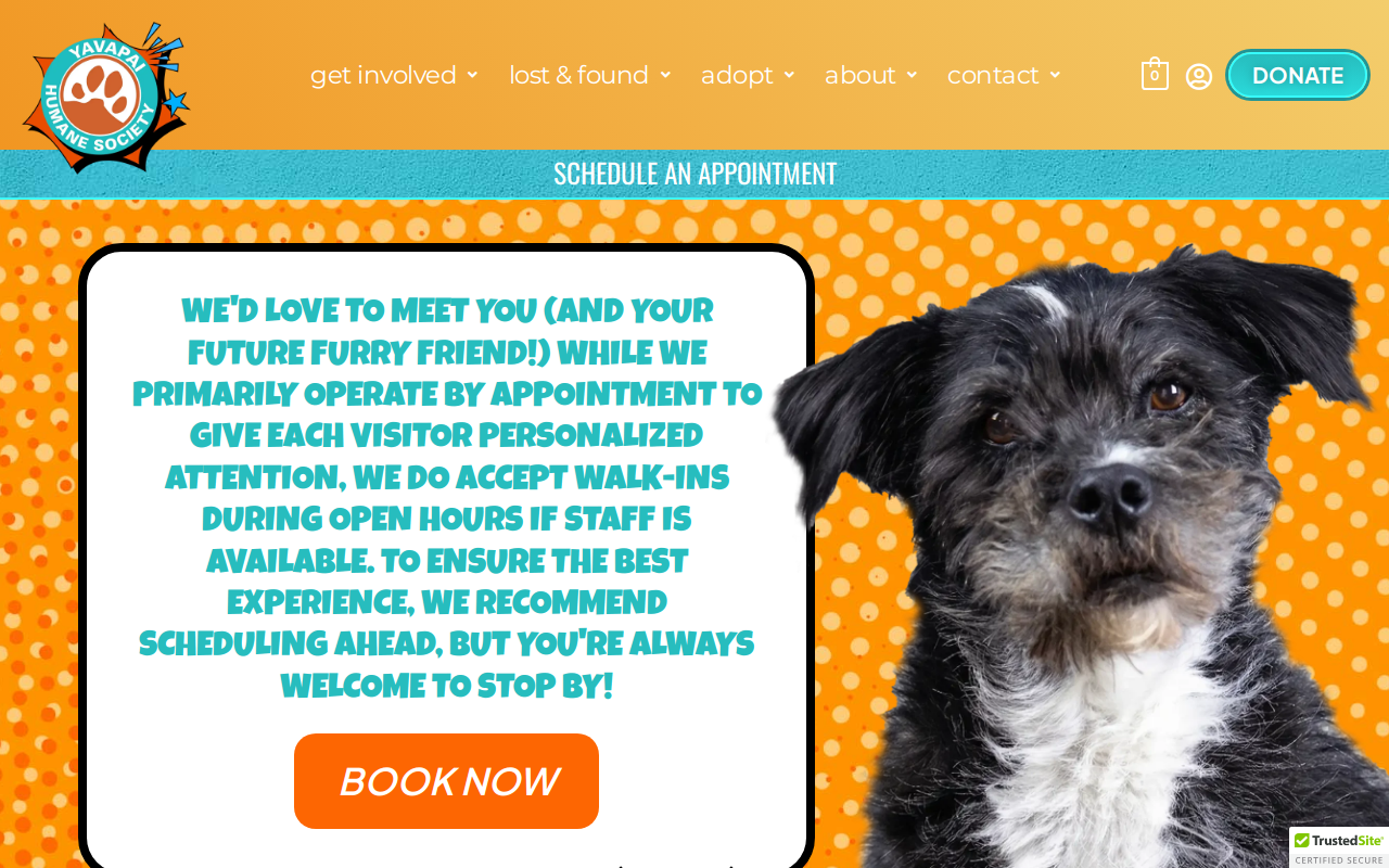 Yavapai Humane Society Thrift Store website preview