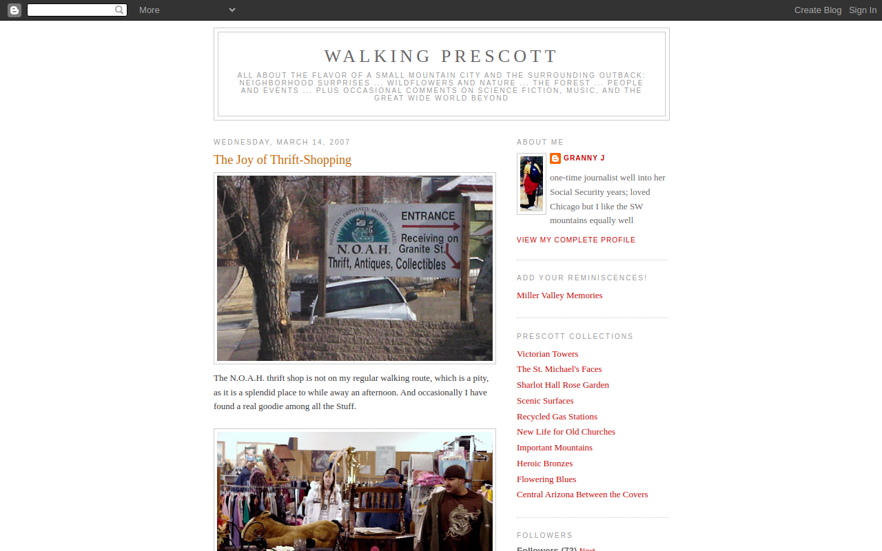 Noah Foundation website preview