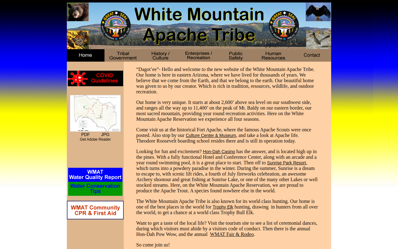 White Mountain Pawn website preview