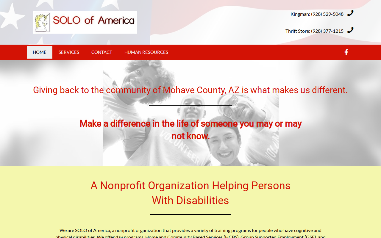 Renewable Goods/SOLO of America website preview