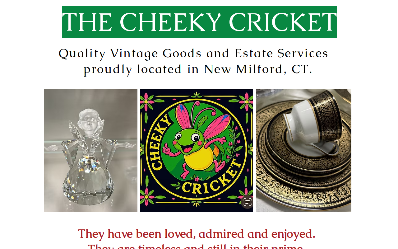 The Cheeky Cricket Store website preview