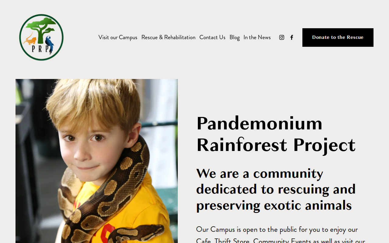 Pandemonium Thrift Store website preview
