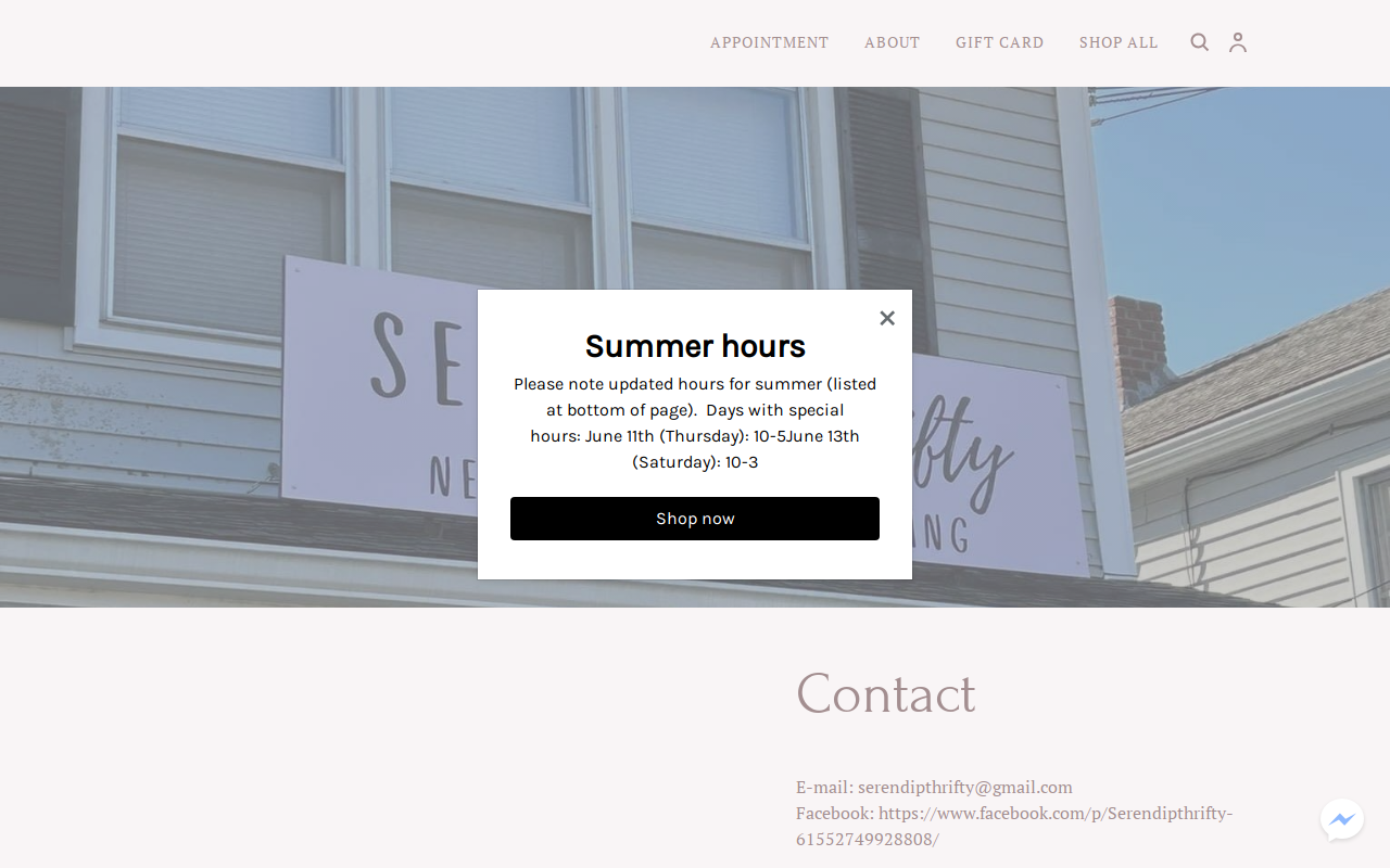 Serendipthrifty website preview