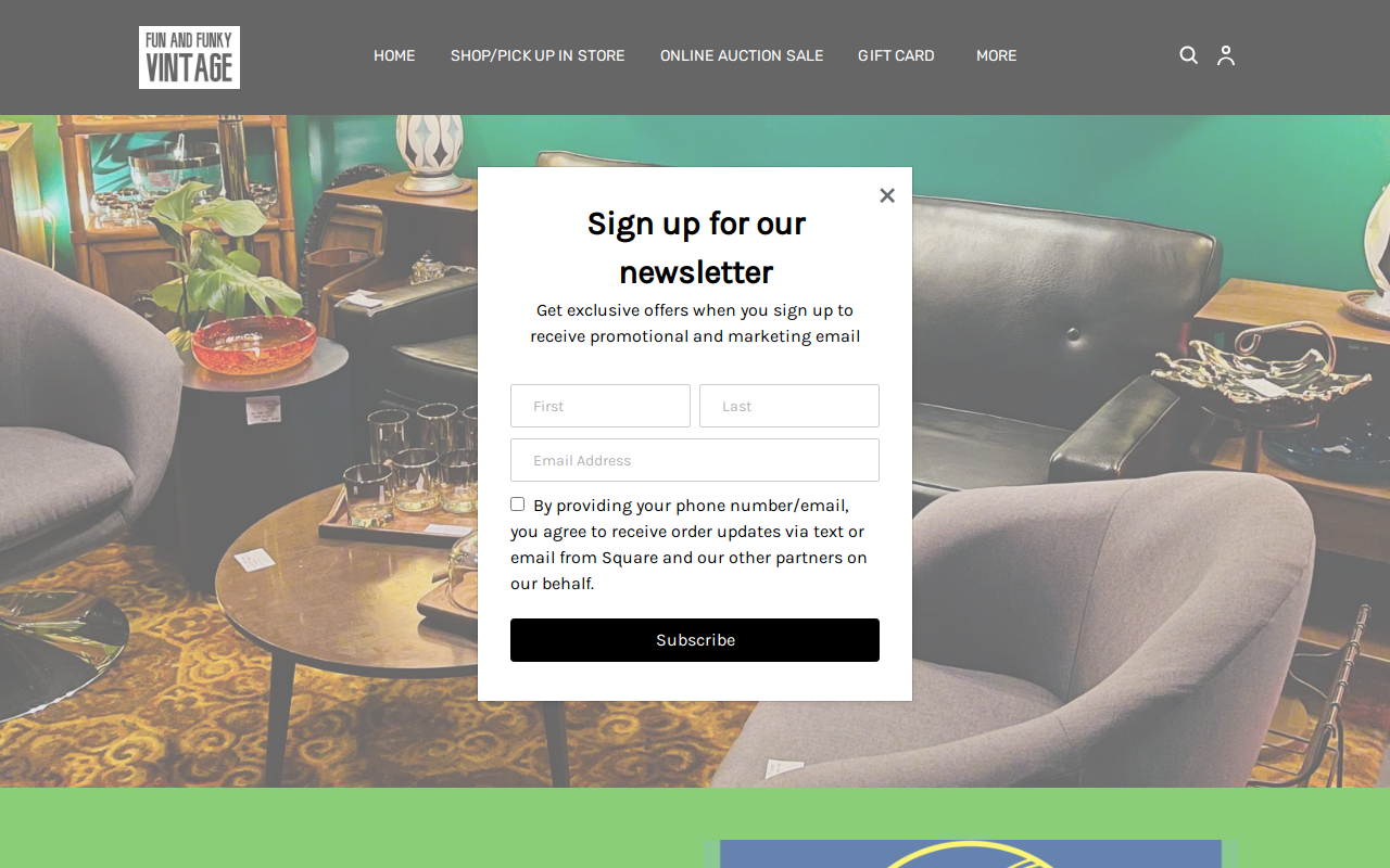 FUN and FUNKY Vintage website preview