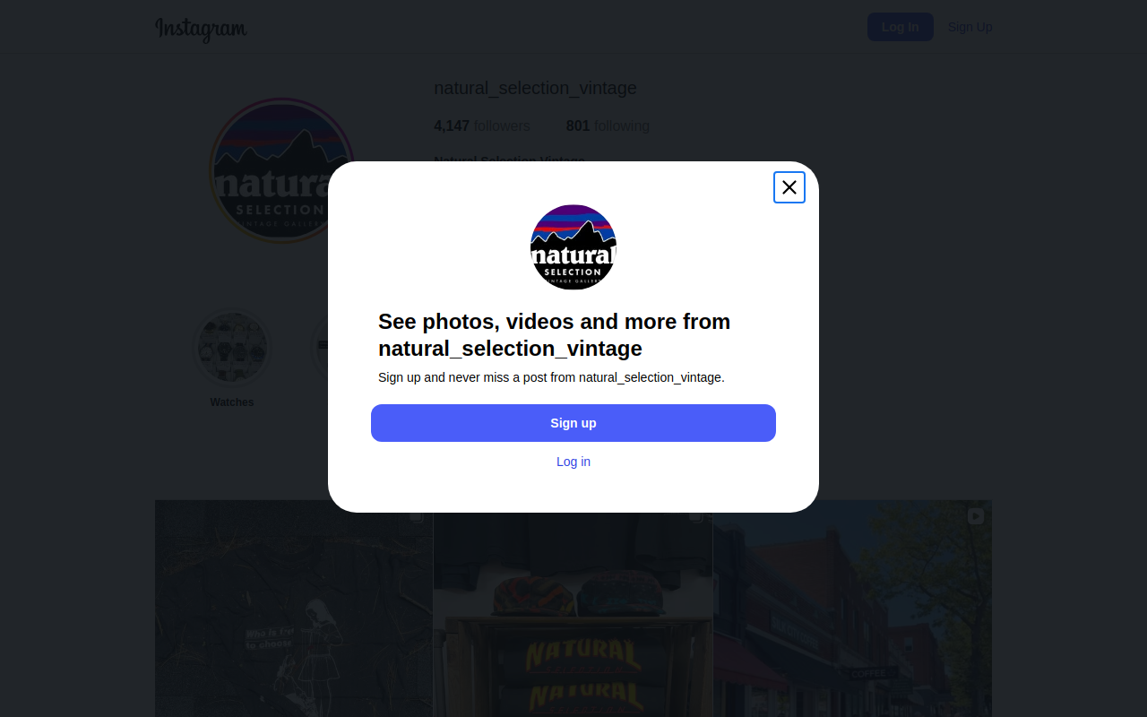 Natural Selection Vintage website preview