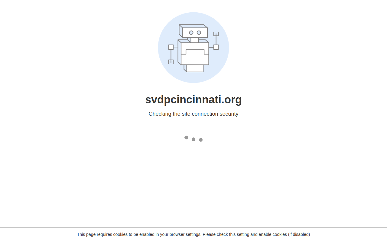 St.Vincent de Paul website preview