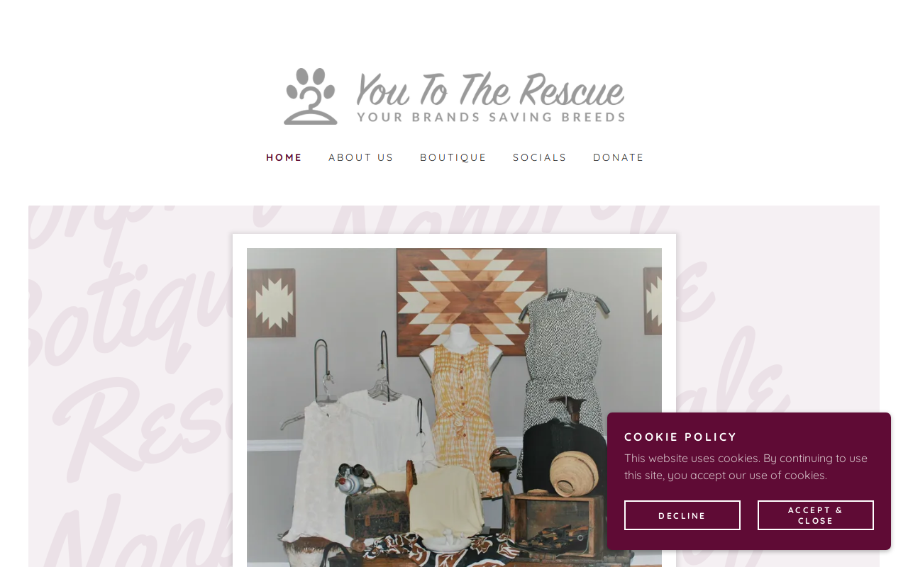 You To The Rescue website preview
