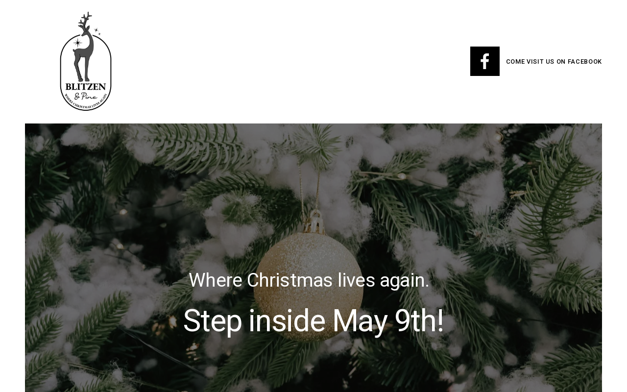 Blitzen & Pine "Where Christmas Lives Again" website preview