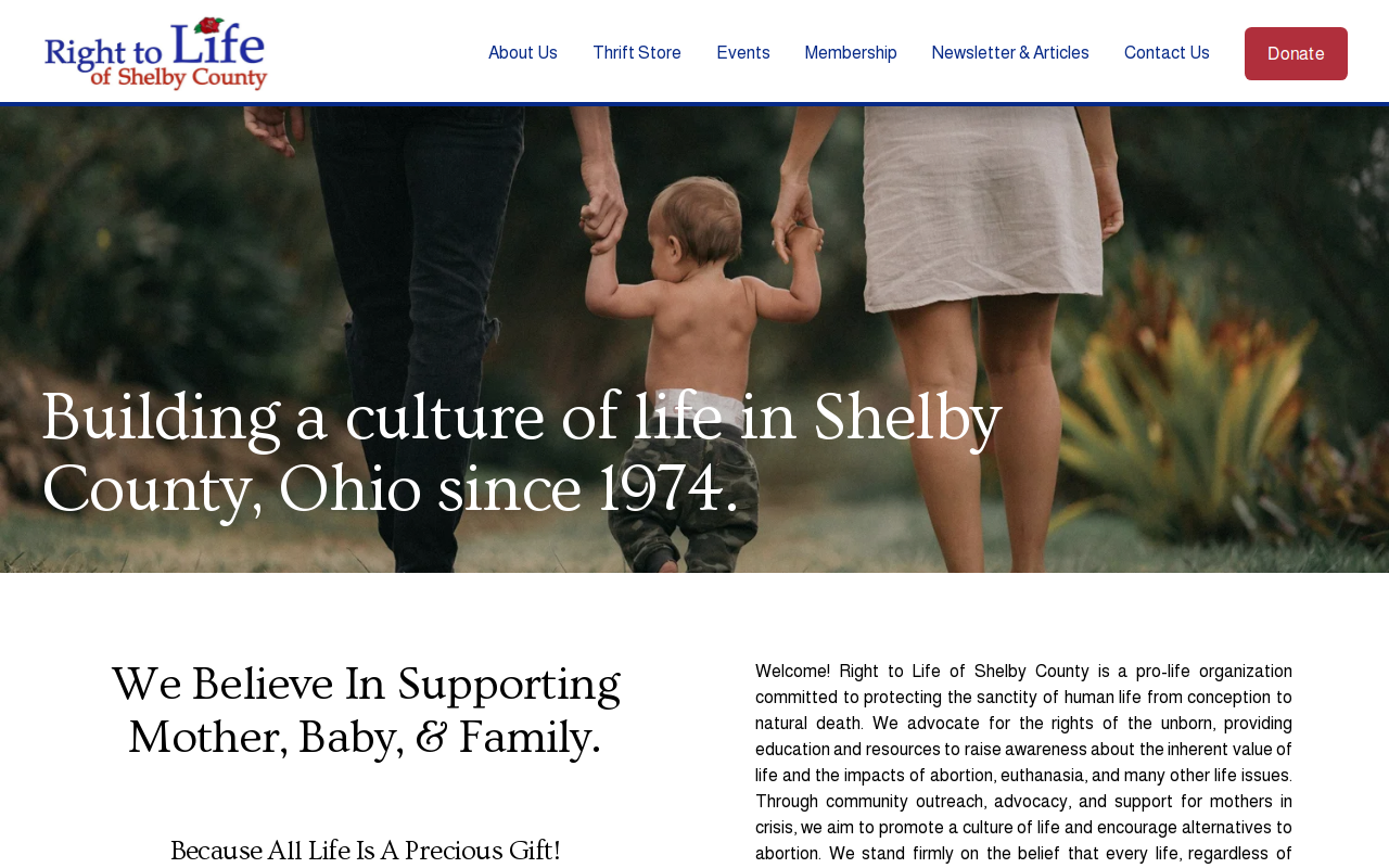 Shelby County Right To Life website preview