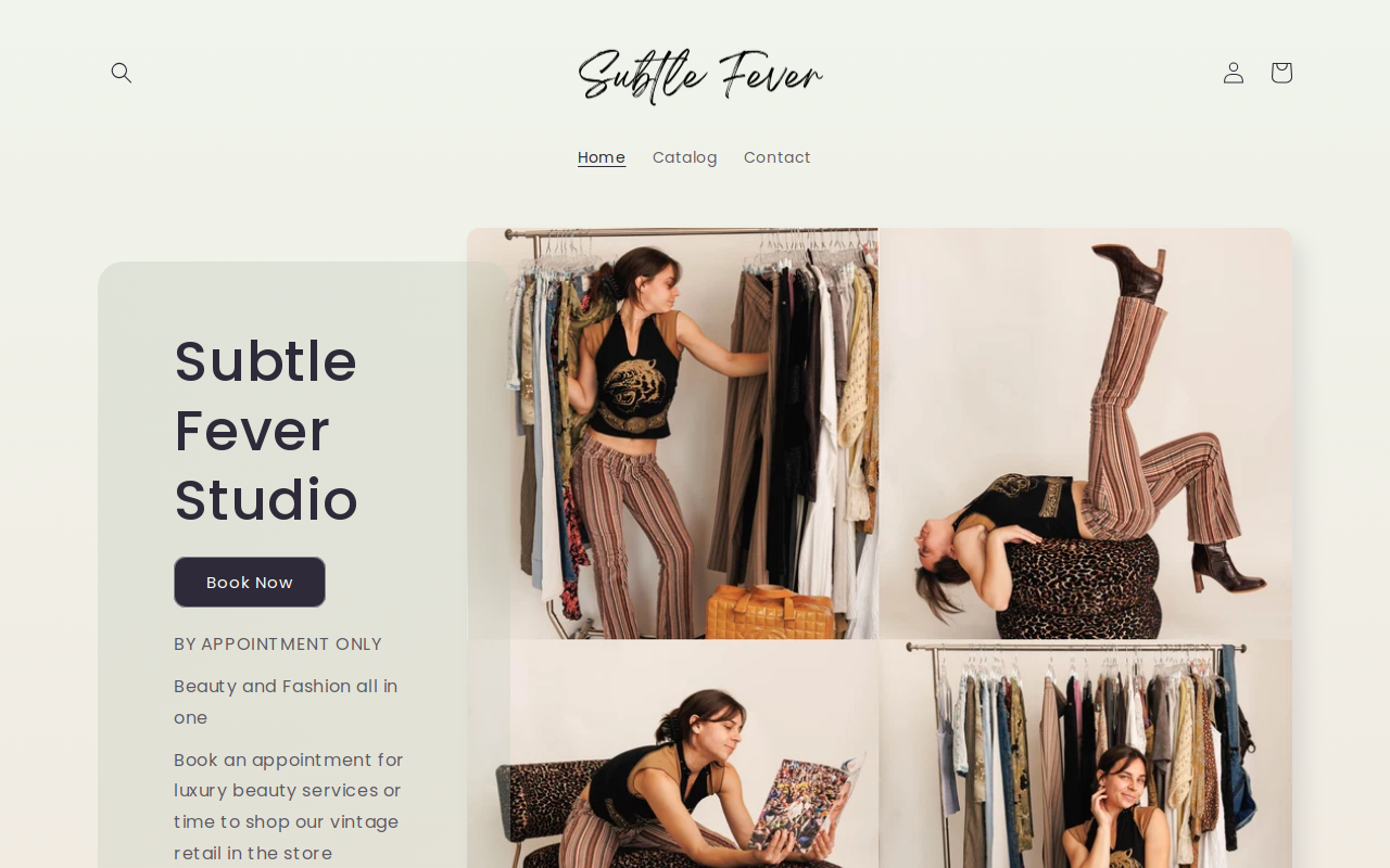 Subtle Fever website preview