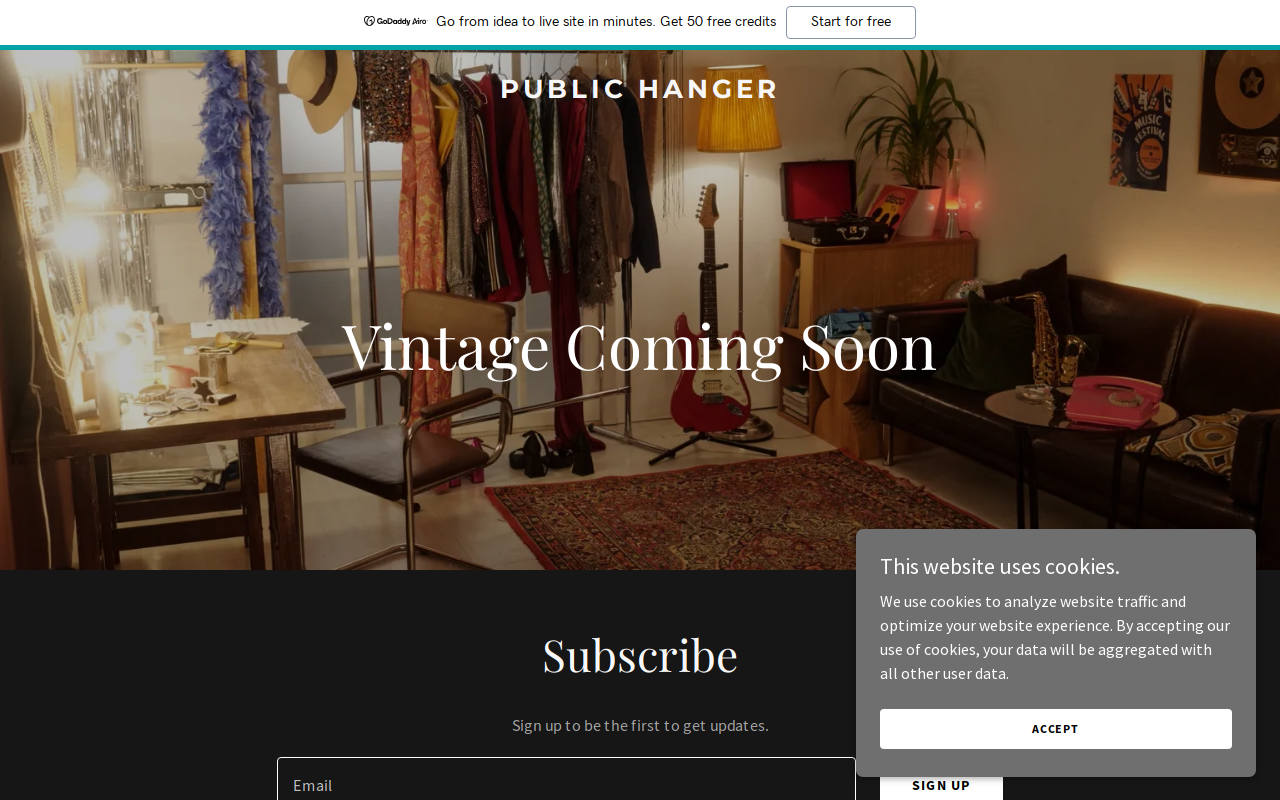 Public Hanger Modern Vintage website preview