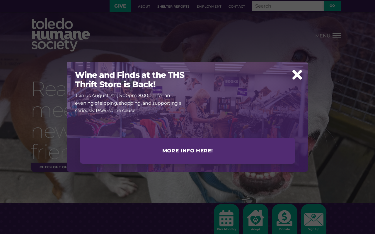 Toledo Humane Society Thrift Store website preview