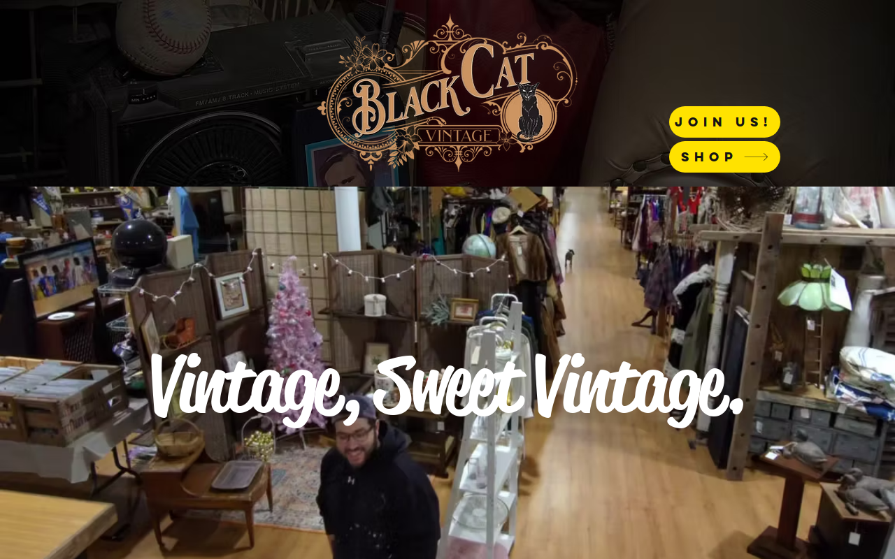 Black Cat Vintage website preview