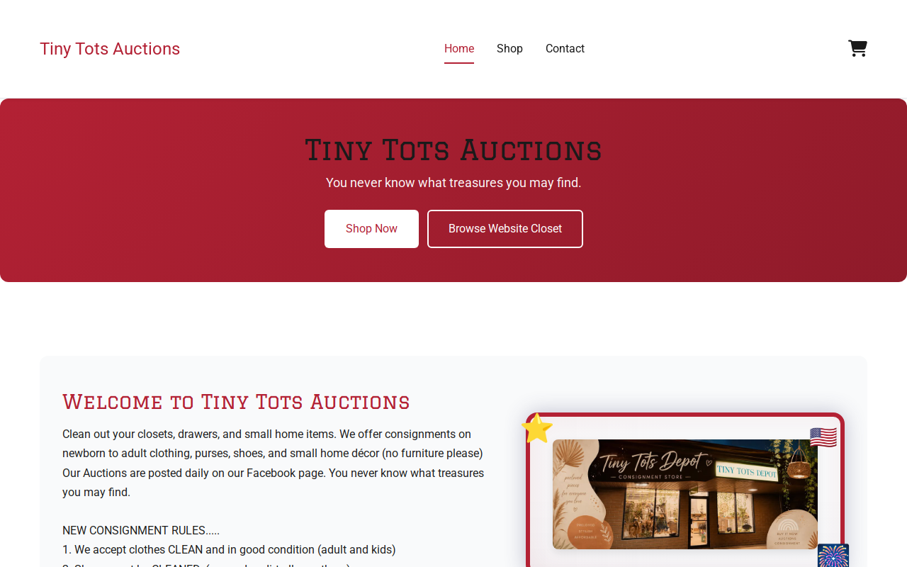 Tiny Tots Depot website preview