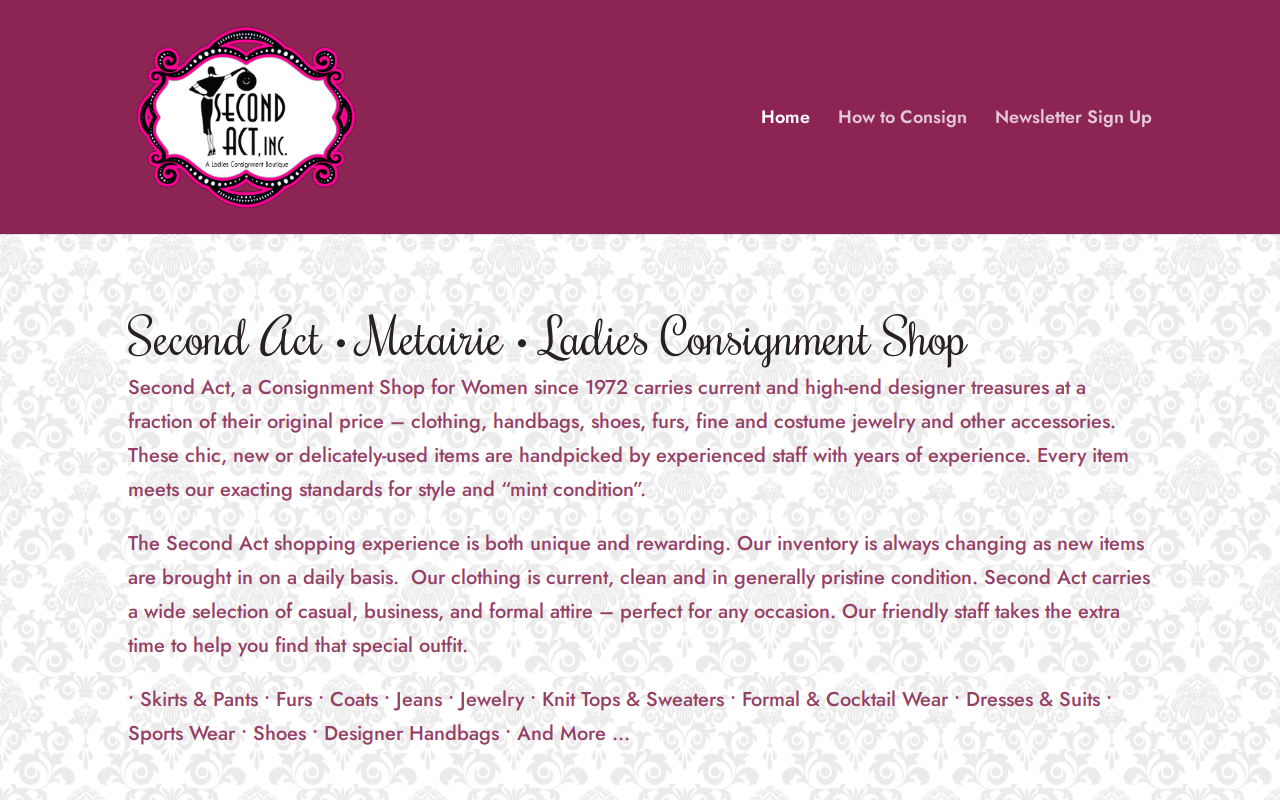 Second Act Inc website preview