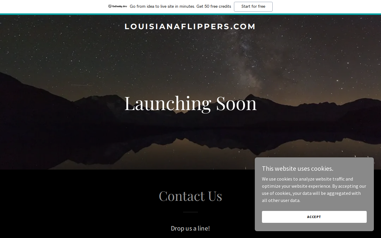 Louisiana Flippers website preview