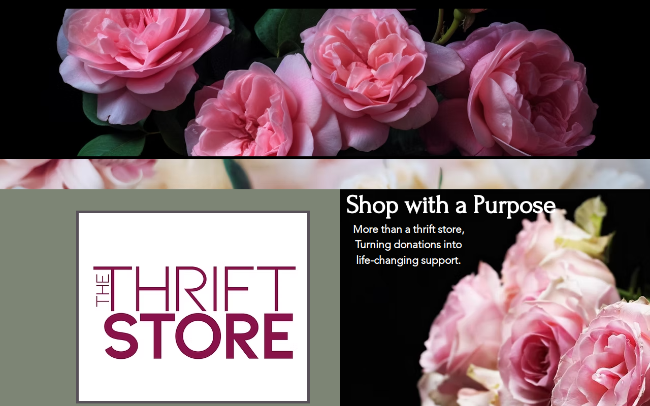 The Thrift Store website preview