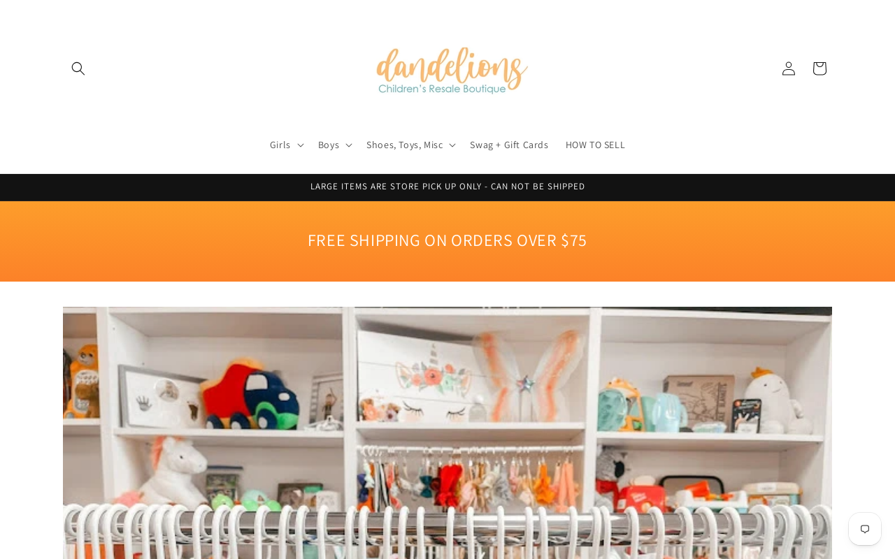 Dandelions Children's Resale Boutique website preview