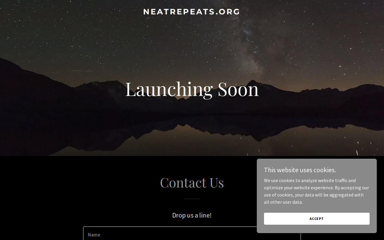 Neat Repeats Boutique Thrift Store website preview