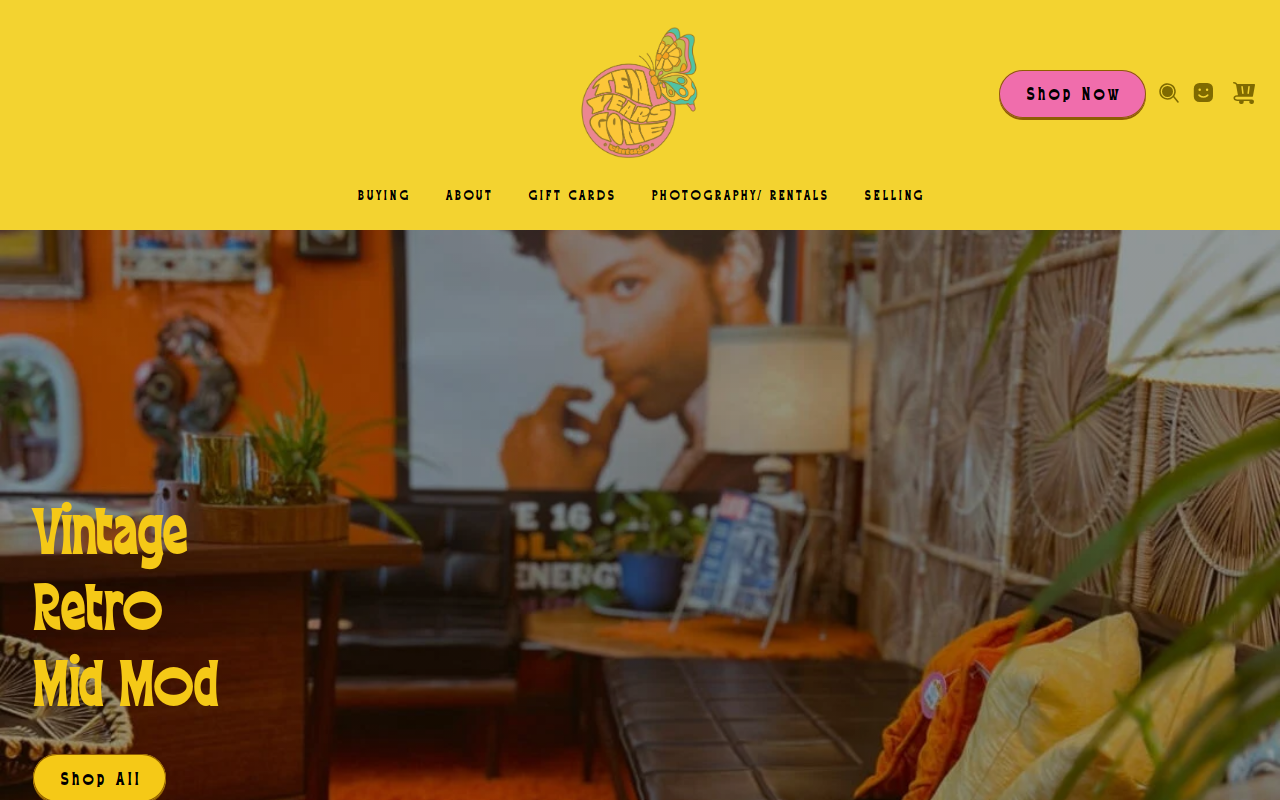 Ten Years Gone Vintage website preview