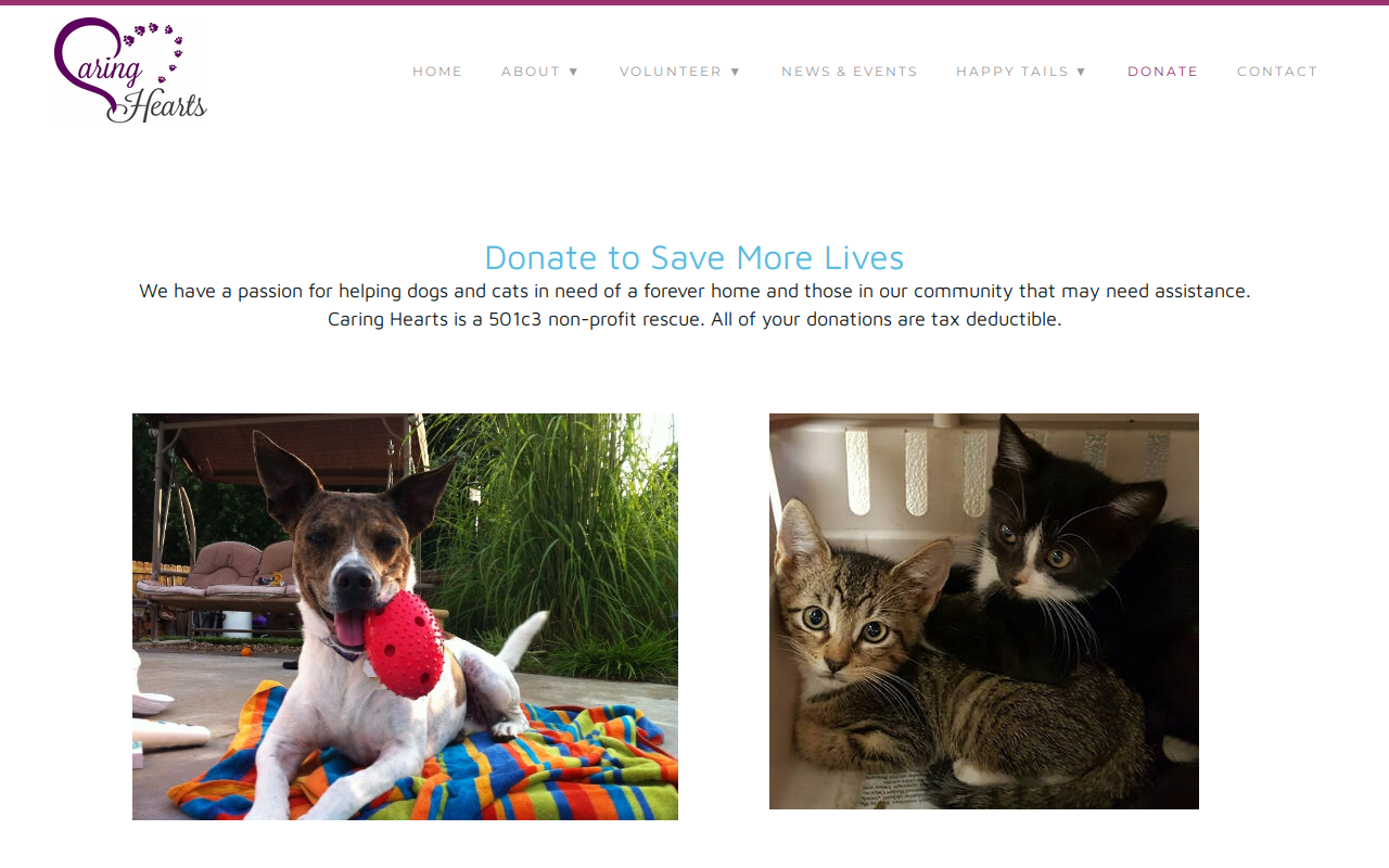 Caring Hearts Dog and Cat Rescue Thrift Store website preview