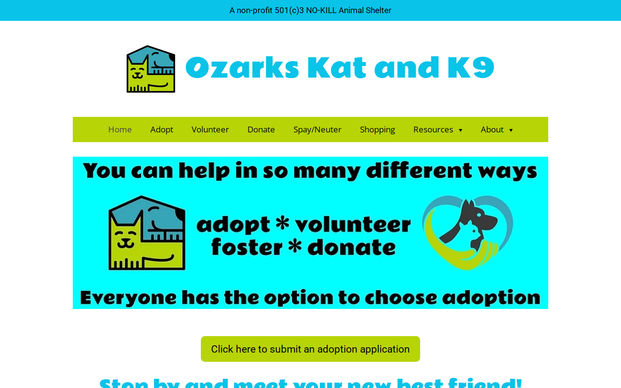 Ozarks Kat and K9 Donation Center and Thrift Store website preview