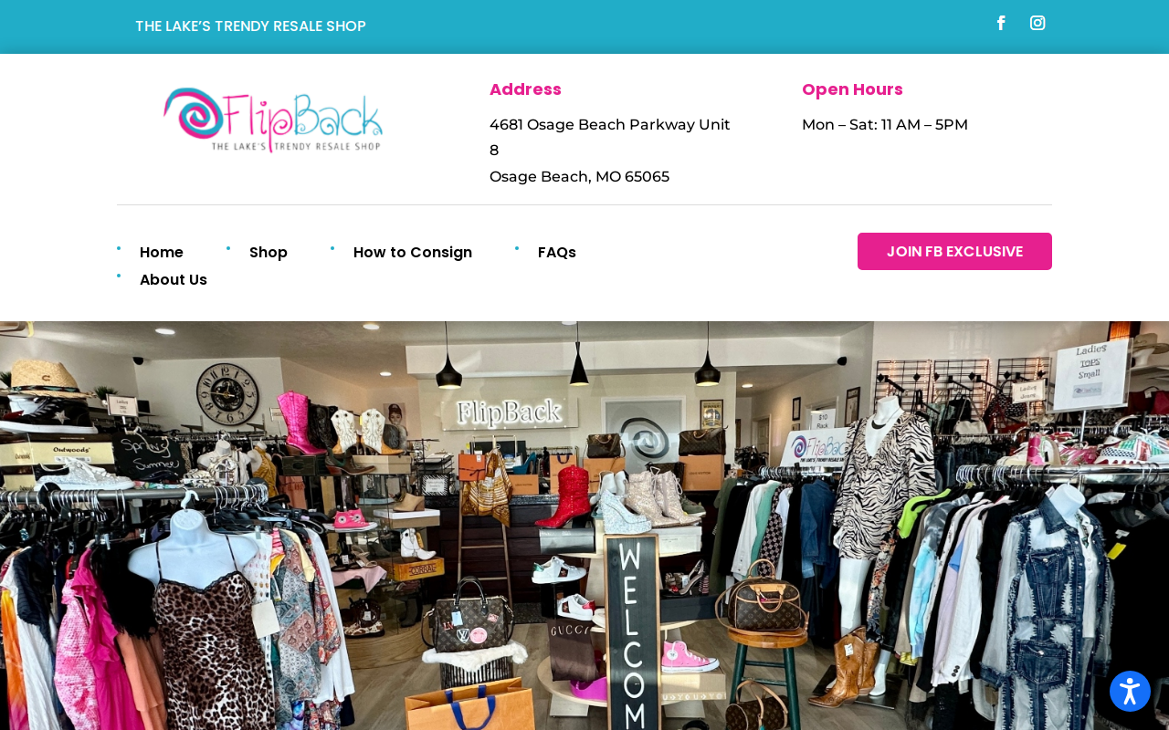 FlipBack website preview