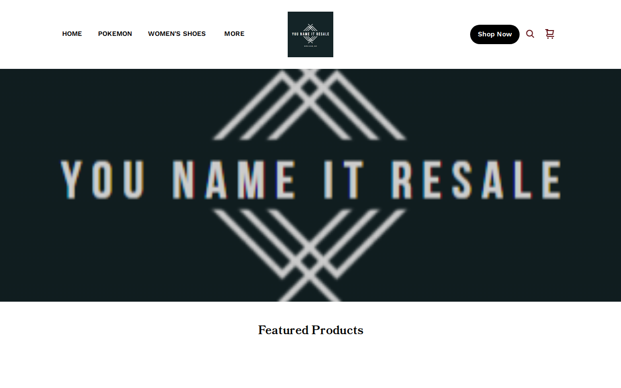 You Name It Resale website preview