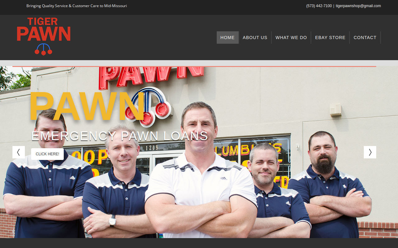 Tiger Pawn website preview