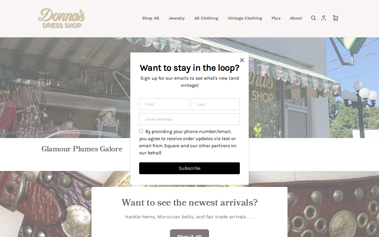 Donna's Dress Shop website preview