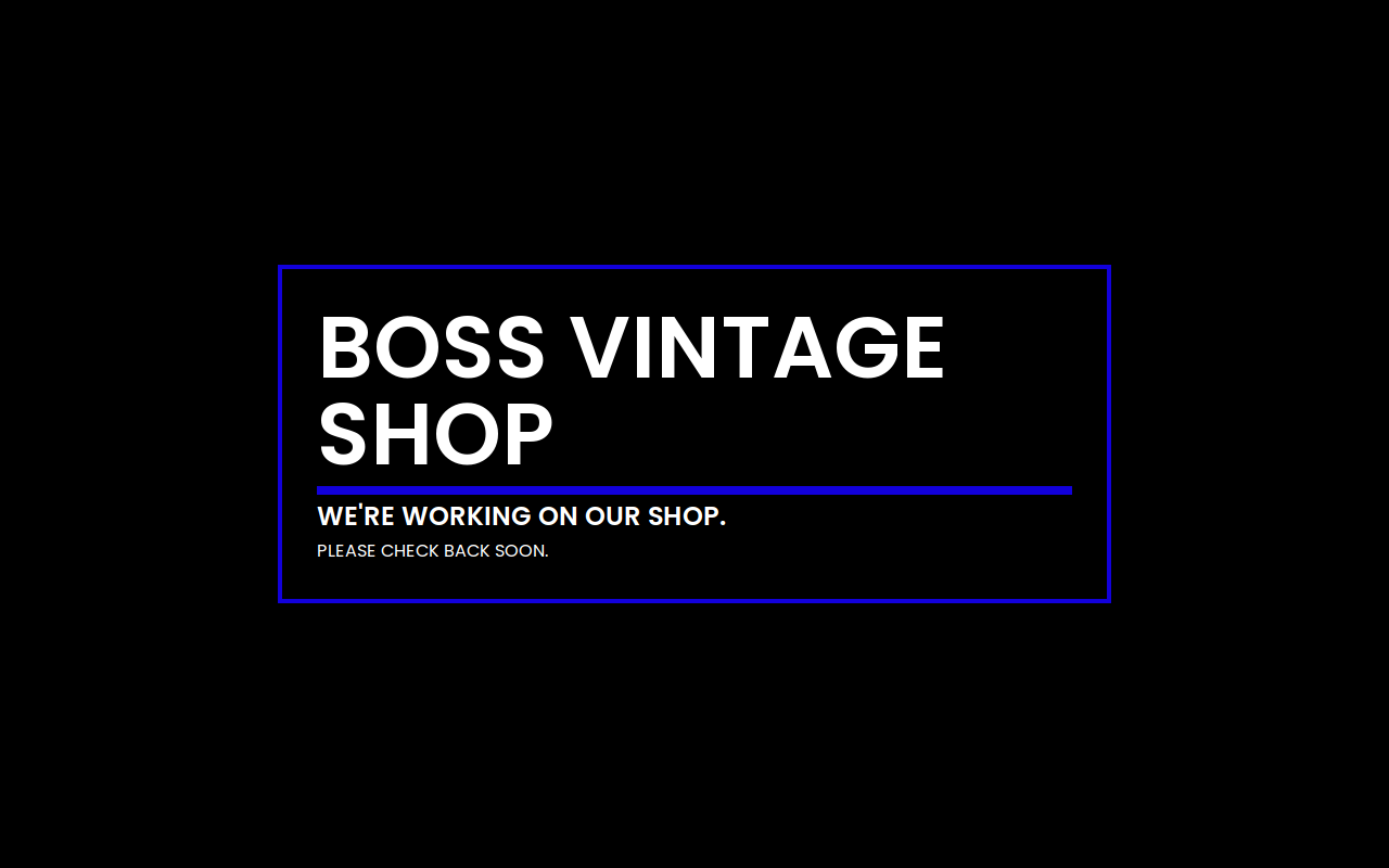 Boss Vintage shop website preview