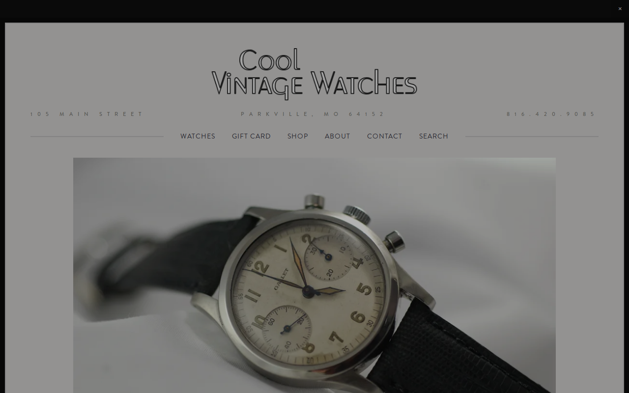 Cool Vintage Watches website preview