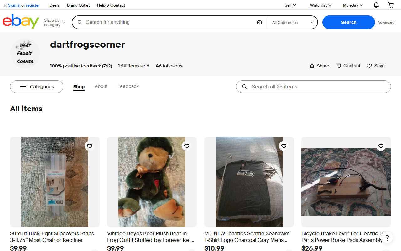 Dart Frog's Corner website preview