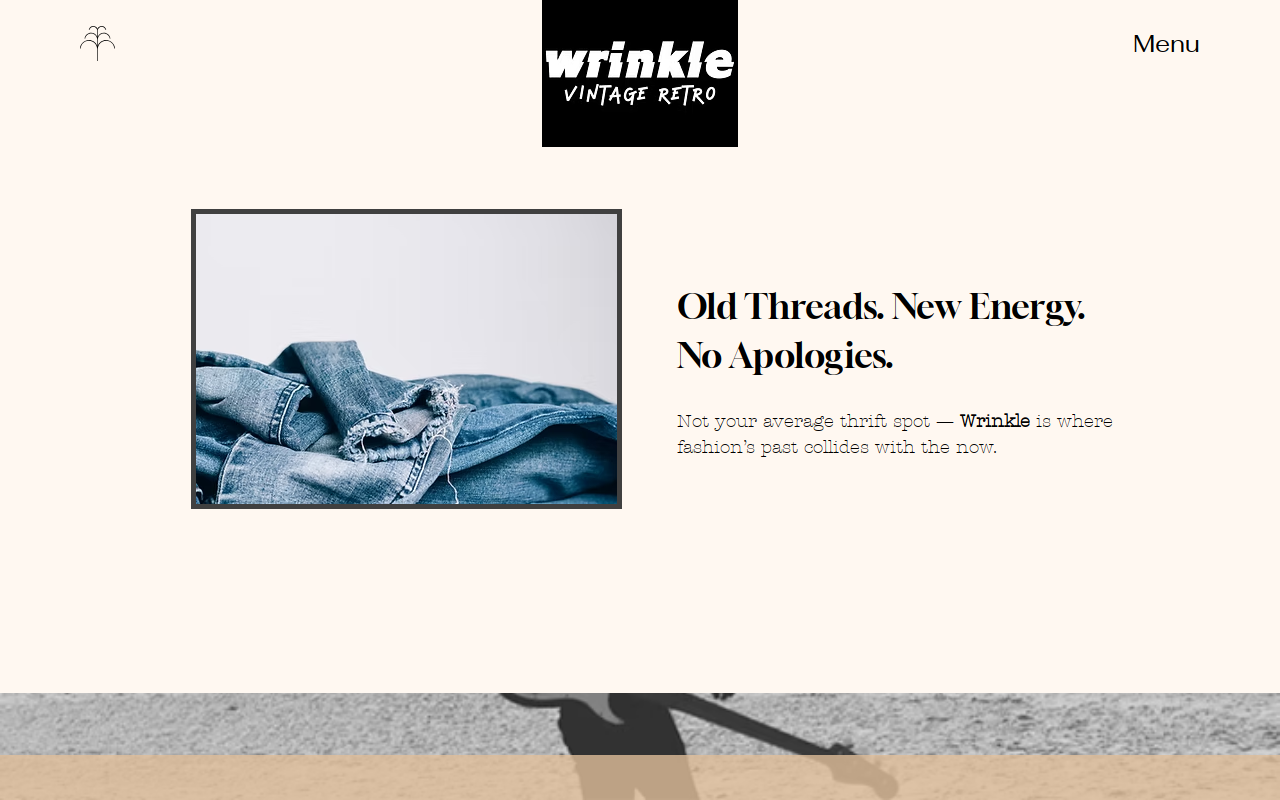 WrinkleStore website preview