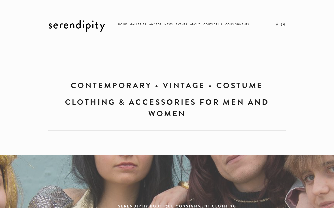 Serendipity Boutique website preview