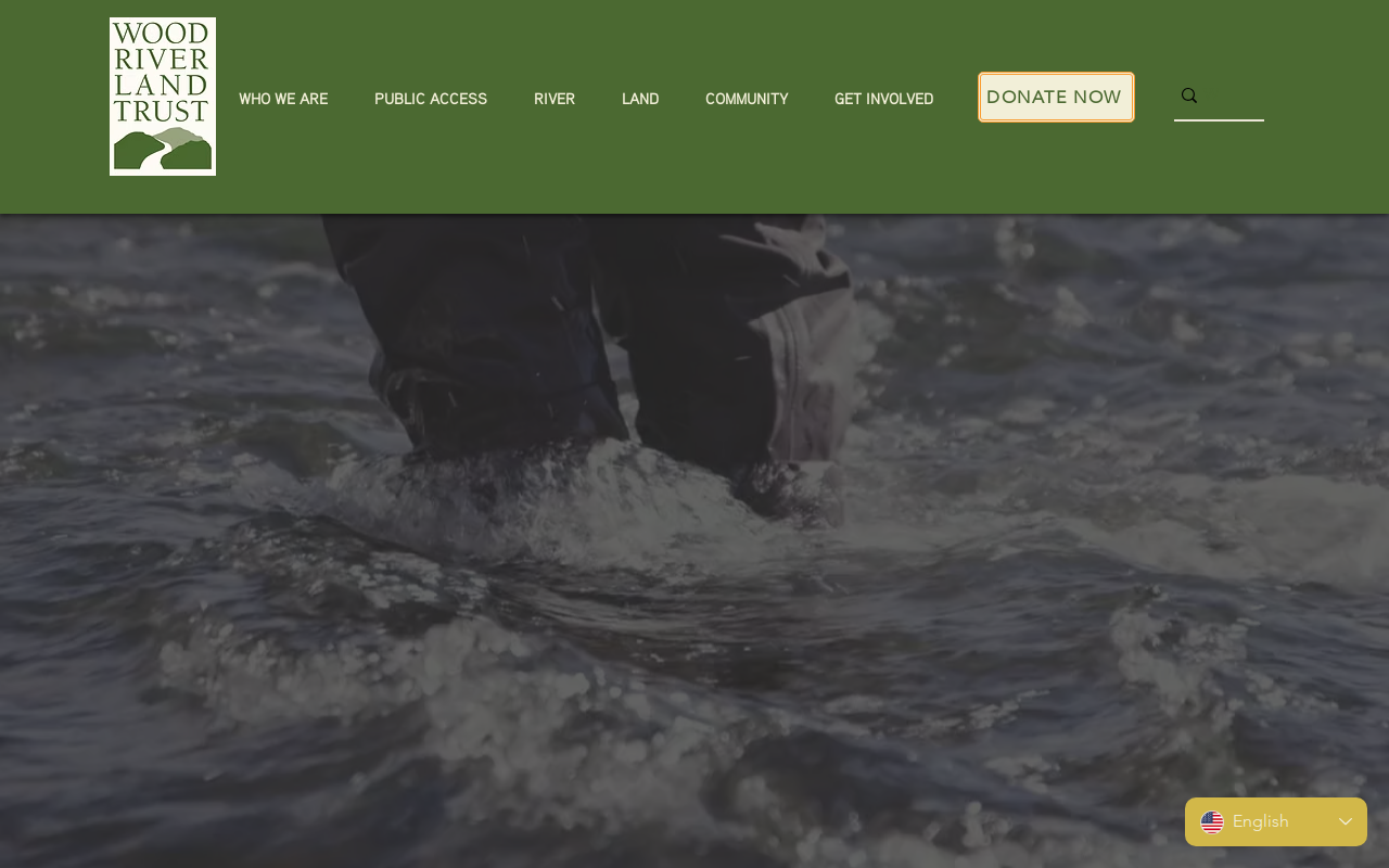 Building Material Thrift Store website preview