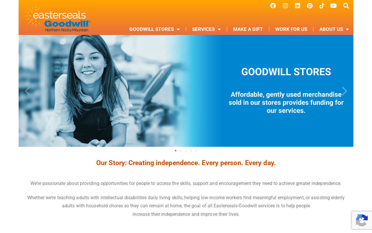 Easterseals Goodwill - Pocatel website preview