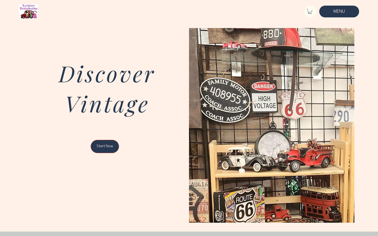 Two Sisters' Thrifty Boutique website preview