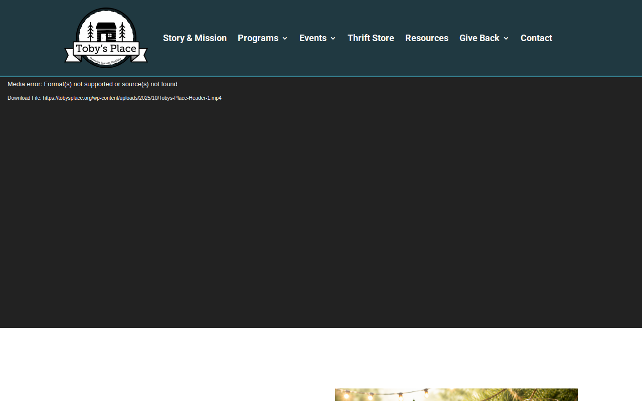 Toby's Place Thrift Shop website preview