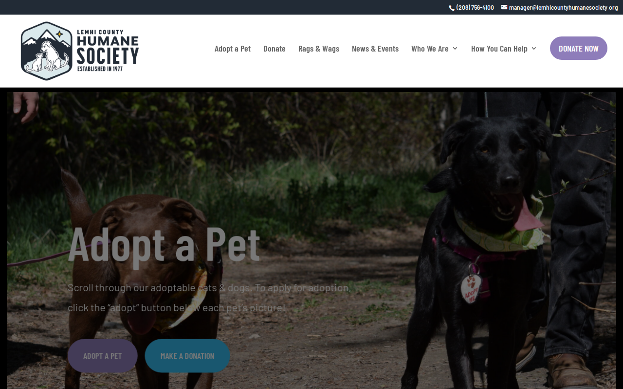 Rags & Wags website preview