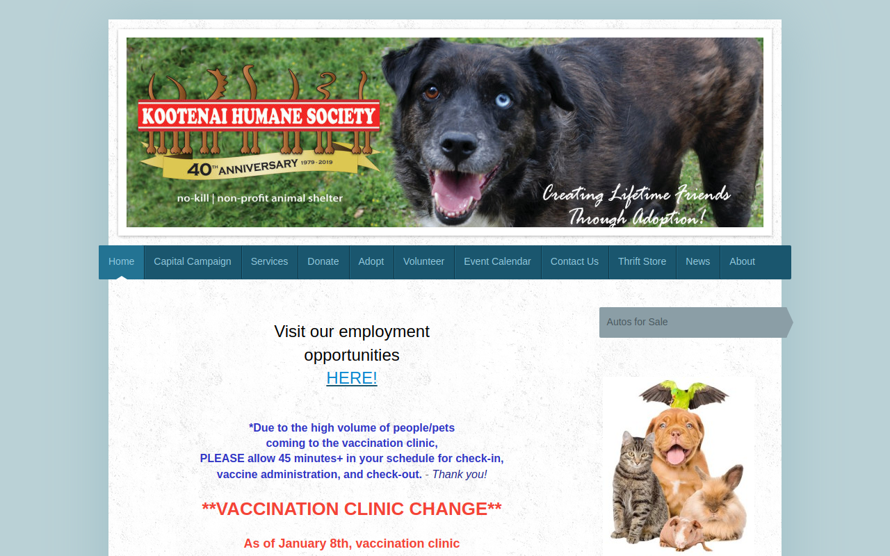 Companions Animal Center Thrift Store website preview