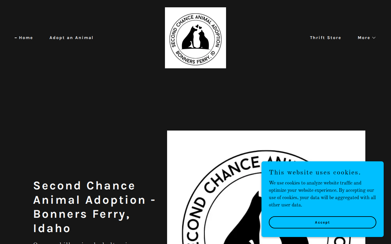Second Chance Thrift Store website preview