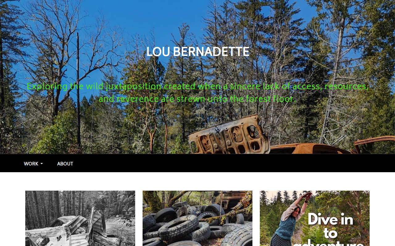 The Back 40 Collective website preview