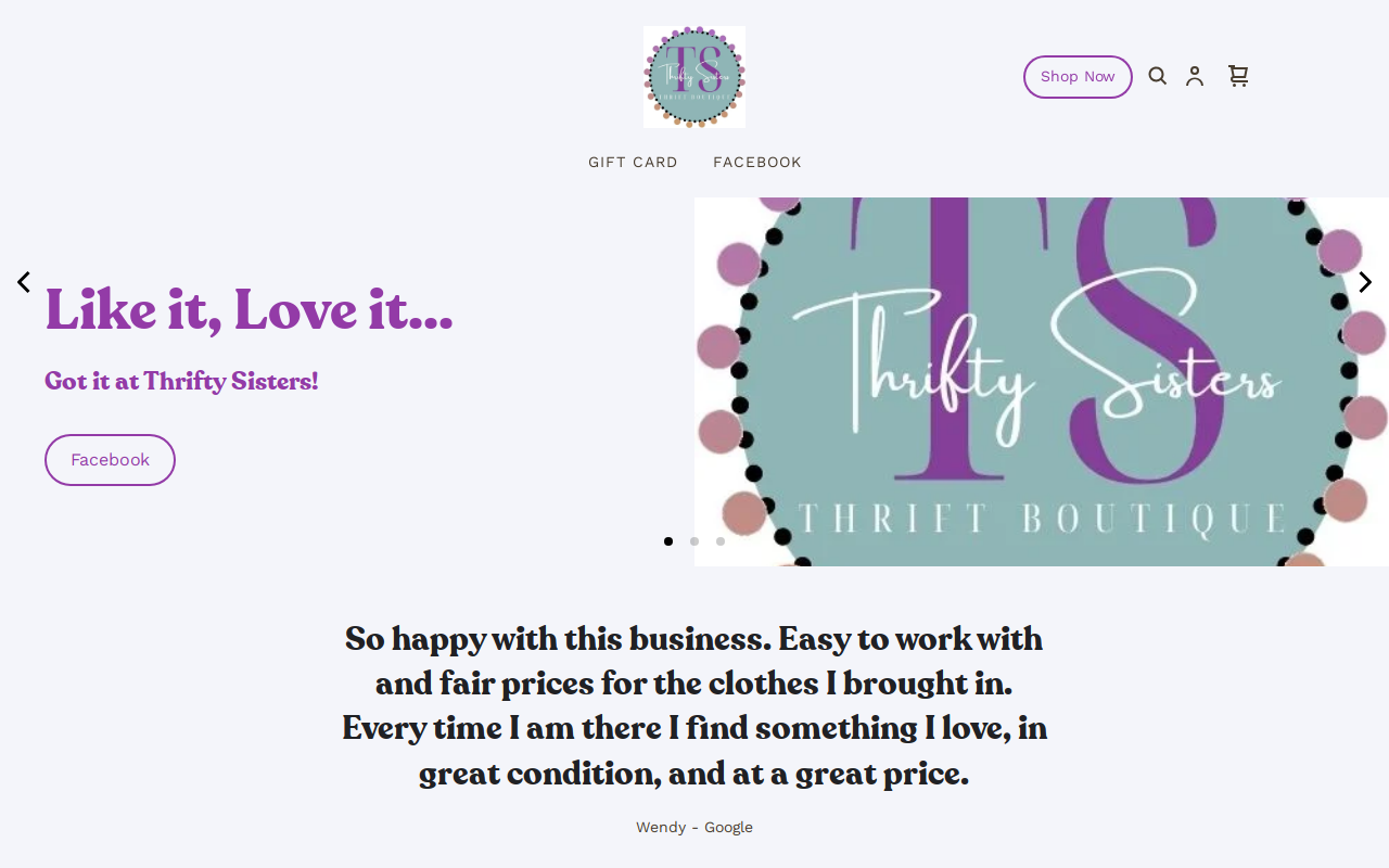 Thrifty Sisters LLC website preview