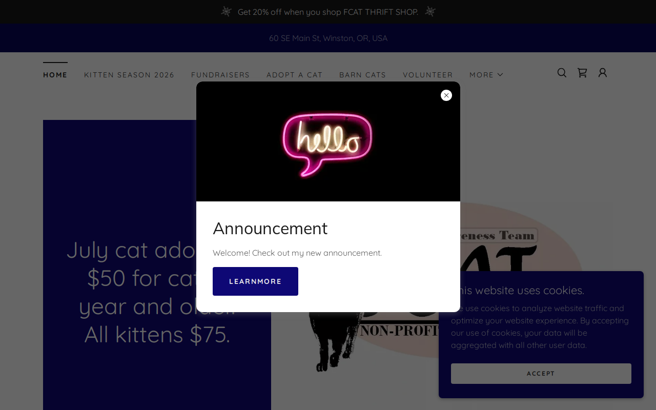 FCAT Thrift Shop website preview