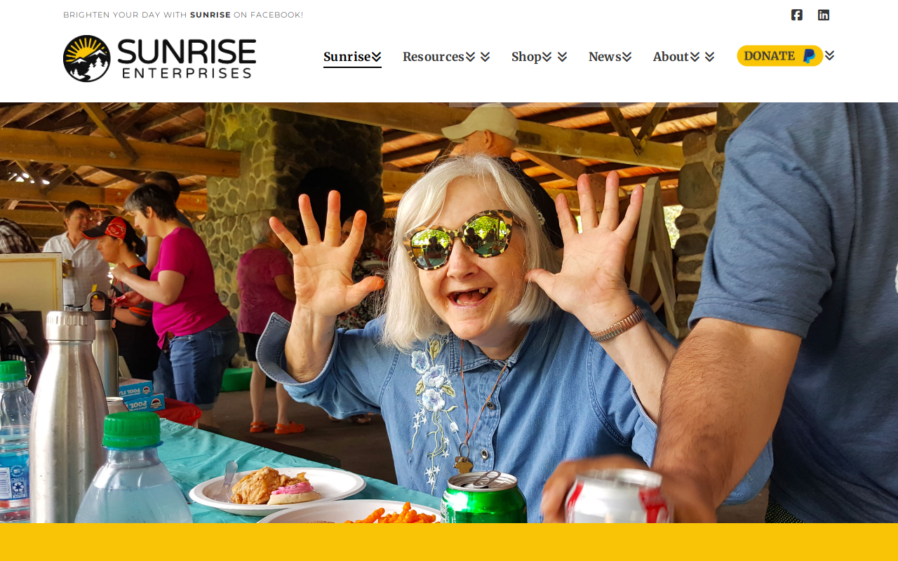 Sunrise Enterprises Shop-services website preview